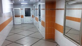 IMG-20180205-WA0012_thumb232.jpg